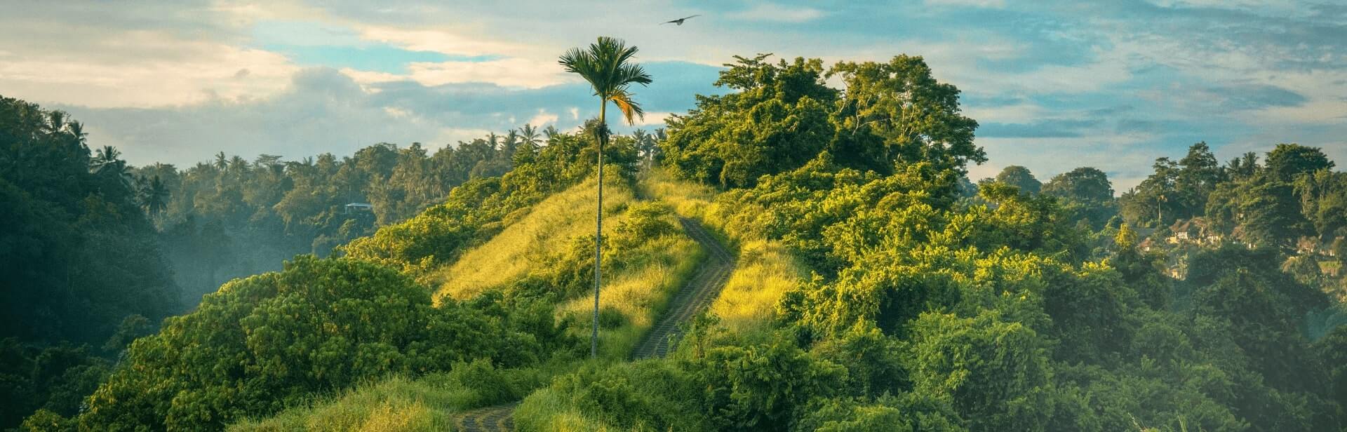 New RS-Virus Vaccine for Adults: All You Need to Know